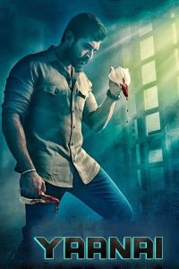 Yaanai (2022) Hindi, Tamil Action poster, IMDb 6.3