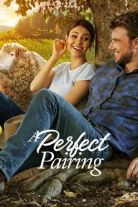 A Perfect Pairing (2022) Hindi, English Comedy poster, IMDb 6.8