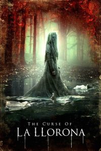 The Curse of La Llorona (2019) Hindi, English Horror poster, IMDb 5.7