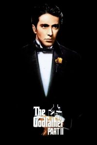 The Godfather Part II (1974) Hindi, English Crime poster, IMDb 9.0