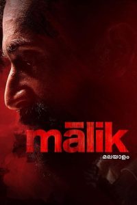 Malik (2021) Hindi Action poster, IMDb 7.2