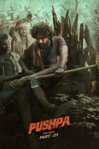 Pushpa: The Rise (2021) English Action poster, IMDb 6.8
