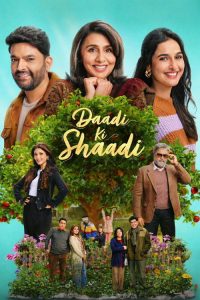 Daadi Ki Shaadi (2026) Hindi Comedy poster, IMDb 