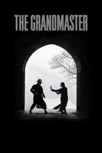 The Grandmaster (2013) Hindi, Chinese Action poster, IMDb 6.6
