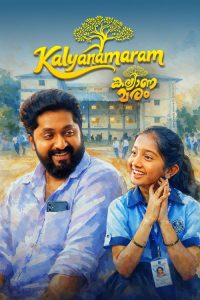 Kalyanamaram (2026) Malayalam Drama poster, IMDb 