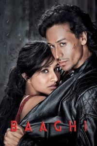 Baaghi (2016) Hindi Action poster, IMDb 6.3