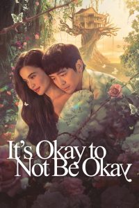It’s Okay to Not Be Okay (2025) Hindi, Korean Comedy poster, IMDb 9.7
