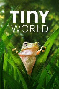 Tiny World (2020) English Documentary poster, IMDb 8