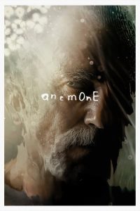 Anemone (2025) Hindi, English Drama poster, IMDb 5.9