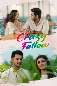 Crazy Fellow (2022) Hindi, Telugu Comedy poster, IMDb 7