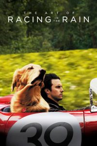 The Art of Racing in the Rain (2019) English Drama poster, IMDb 8.1