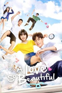 A Love So Beautiful (2017) Korean Comedy poster, IMDb 7.9