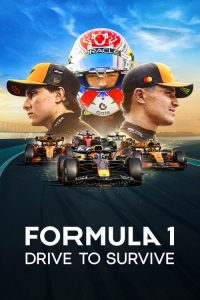 Formula 1: Drive to Survive (2019) Hindi, English Documentary poster, IMDb 8.2